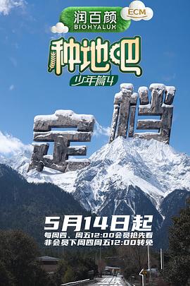 风味人间5